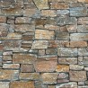 Pierre de parement Géopanel Gneiss Madale - Ti'ma Stone