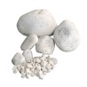Galet décoratif en Marbre Blanc Pur - Ti'ma Stone