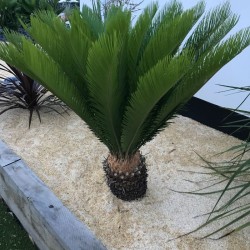 Sable en Marbre Jaune Sienne 1-2 mm 1000 kg - Ti'ma Stone
