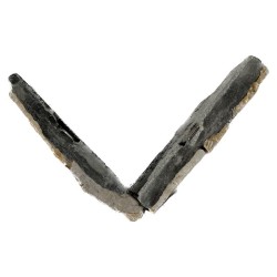 Angle de plaquette Pearl Stone Fix Calcaire Clair - Ti'ma Stone