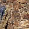 Parement Pierre Naturelle Gneiss Madale Doré - Ti'ma Stone