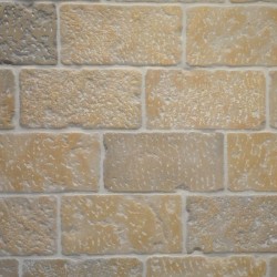 Dallage Pierre naturelle Atlas Beige 40x20x1,8 cm