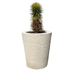 Pot à plante en pierre naturelle Atlas Beige - Ti'ma Stone
