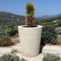 Pot à plante en pierre naturelle Atlas Beige - Ti'ma Stone