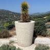 Pot à plante en pierre naturelle Atlas Beige - Ti'ma Stone
