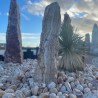 Galets décoratifs Onyx Grand Canyon - Ti'ma Stone
