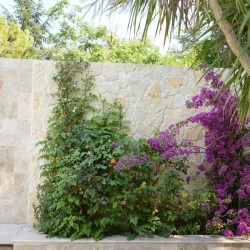 Parement Pierre Naturelle Versailles - Ti'ma Stone