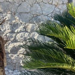 Parement Pierre Naturelle Travertin Gris Silver - Ti'ma Stone