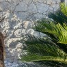 Parement Pierre Naturelle Travertin Gris Silver - Ti'ma Stone