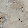 Carrelage Travertin Beige Rustique 2nd choix 61x40,6x1,2 cm - Ti'ma Stone