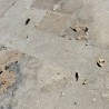 Carrelage Travertin Beige Rustique 2nd choix 1,2 cm - Ti'ma Stone