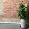 Tomette rectangulaire en Terre Cuite 22.5x4.7x2.3 cm - Ti'ma Stone