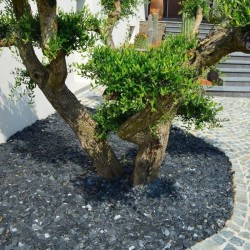 Paillage Ardoise Noire 10-30 mm 1000 kg - Paillage décoratif - Ti'ma Stone