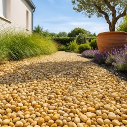 Galet décoratif roulé Calcaire Jaune 10-16 mm 750 kg - Ti'ma Stone