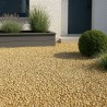 Galet décoratif roulé Calcaire Jaune 10-16 mm 750 kg - Ti'ma Stone