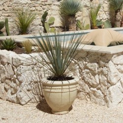 Parement Pierre Naturelle Travertin Beige Clair - Ti'ma Stone