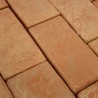 Tomette rectangulaire en Terre Cuite 22,5x10x2,3 cm - Ti'ma Stone
