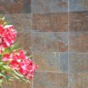 Dallage piscine Pierre Ardoise multicolore 60x60x1 cm - Ti'ma Stone