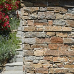 Plaquette de parement Pearl Stone Fix Gneiss - Ti'ma Stone