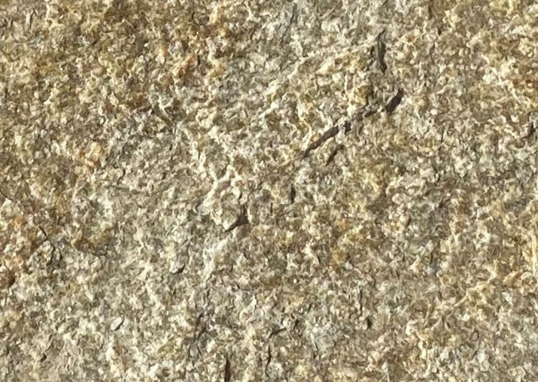 Gneiss-Luzerne