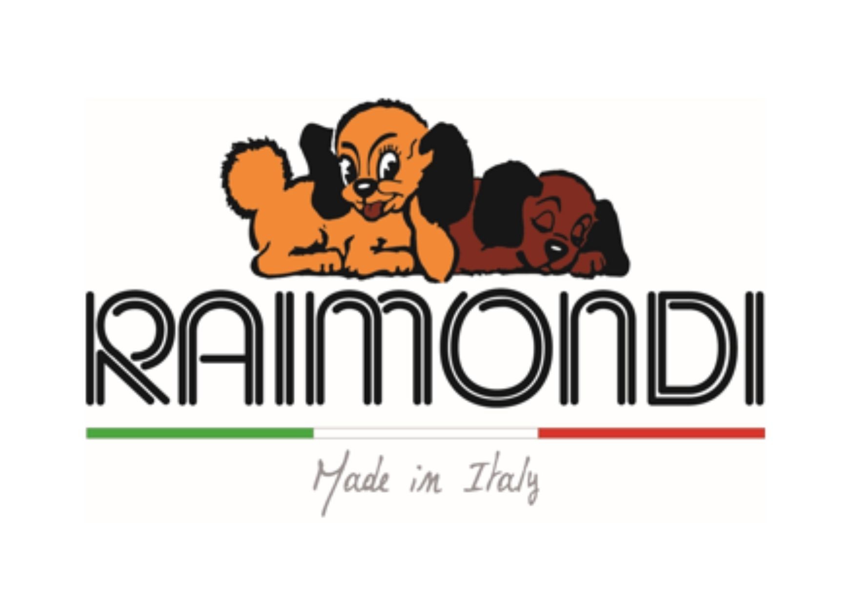RAIMONDI – Scies, niveleurs et outils pour carreleurs